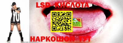 стаф Бийск