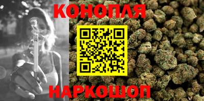 стаф Бийск