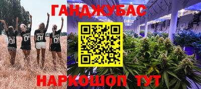 стаф Бийск