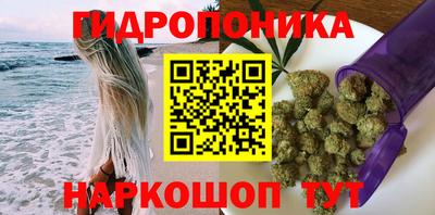 дживик Берёзовский