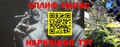 стаф Бийск