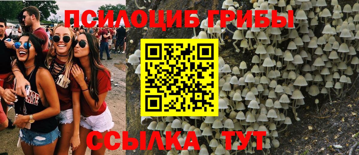 цена наркотик  Галлюциногенные грибы Psilocybine cubensis  Кимовск  Вход с VPN  Псилоцибиновые грибы GOLDEN TEACHER 