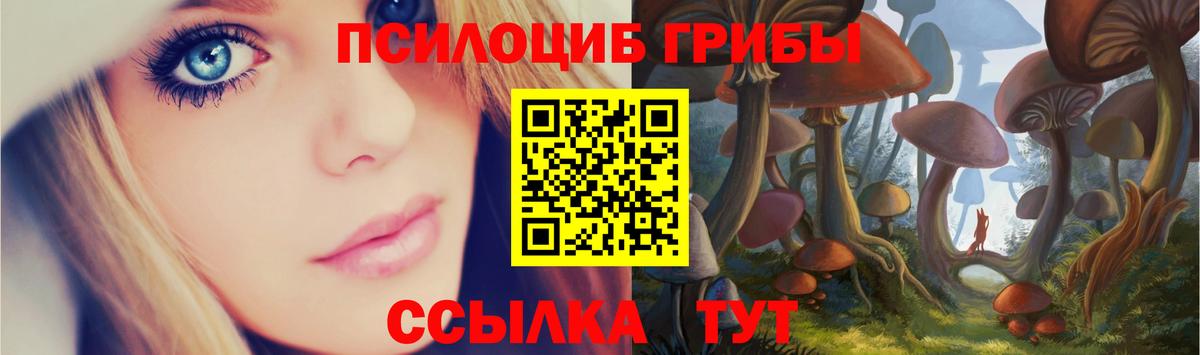 Псилоцибиновые грибы Cubensis Кимовск